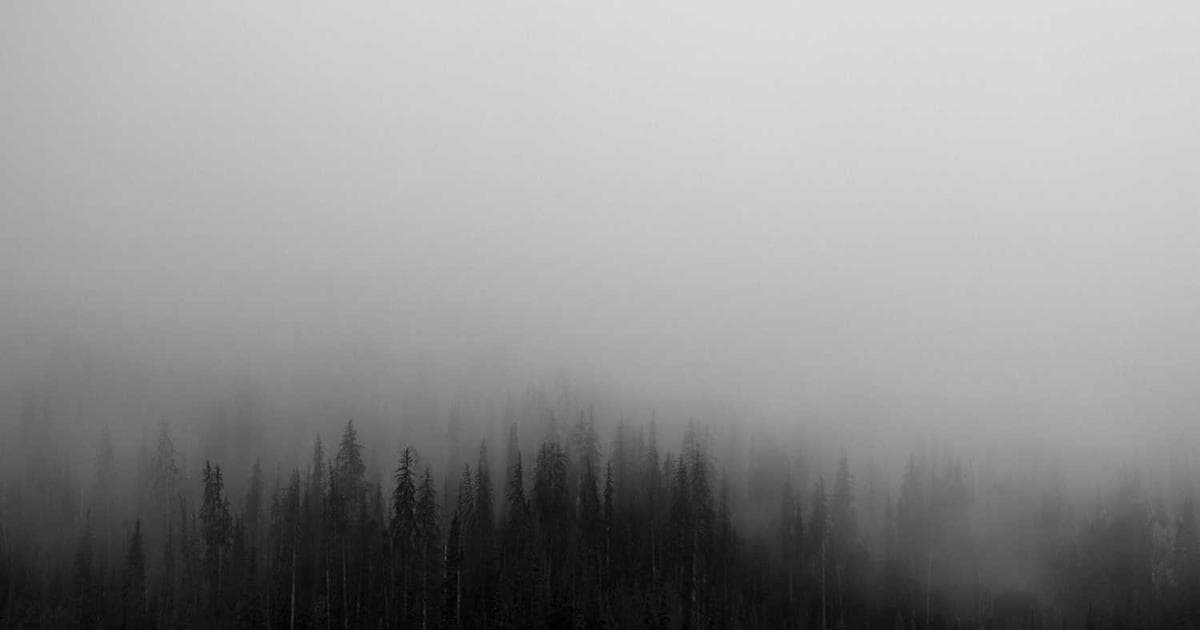 Analytics Dashboard Showdown: 7 Platforms Tested for Business Growth