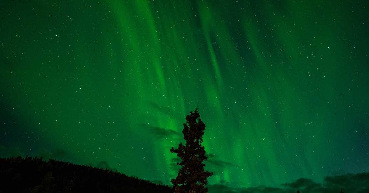 The Simple Daily Habit That Doubled Customer Retention