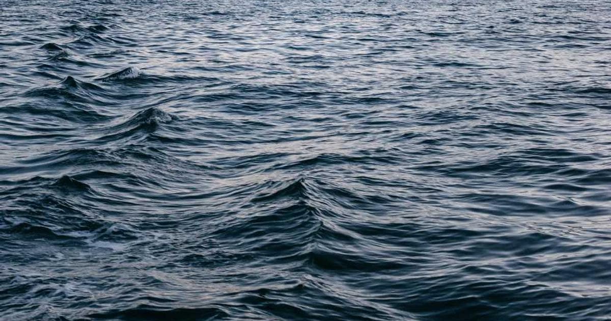 The Surprising Truth About Form Fields That Kill Conversions: Data-Backed Solutions for Growth